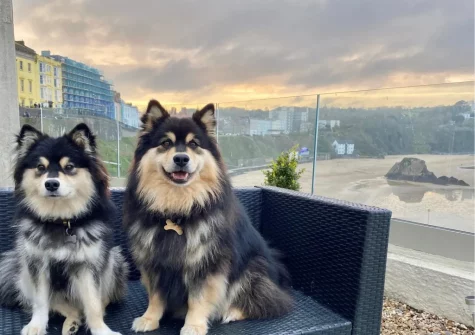 Enjoy stunning sea views over 1 Royal Victoria Court, Tenby