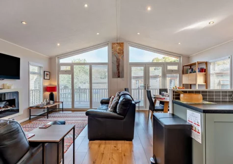 The living area at 18 Heritage Park, Stepaside