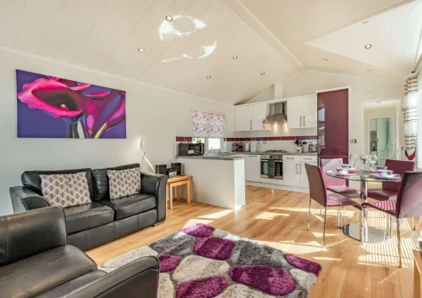 The living, dining area & kitchen at 92 Heritage Park, Stepaside