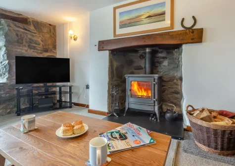 The living room at Bron Y Gadair, Llanfair