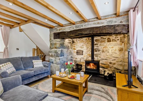 The living area at Bryn Bras, Brithdir