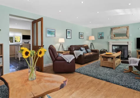 The living room at Bryn Olwyn, Little Newcastle