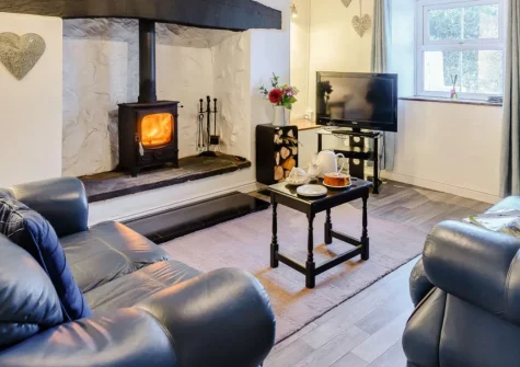 Bryn Rhosyn Snowdonia, Llanddoged is a charming two-bedroom cottage with panoramic Snowdonia views, a cosy wood-burner, enclosed garden patio and shared games barn, ideally placed for castles, waterfalls and thrilling mountain adventures nearby.
