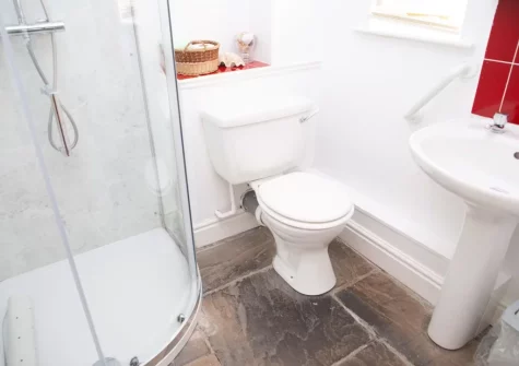 The ground floor shower room at Brynceirios, Newport