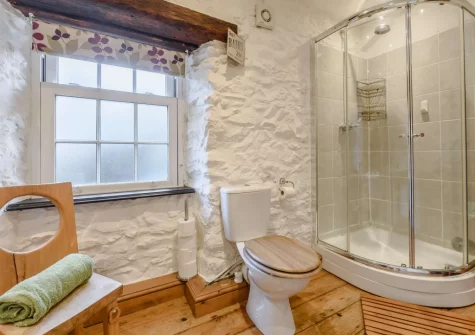 The bathroom at Bwthyn Clyd, St Davids