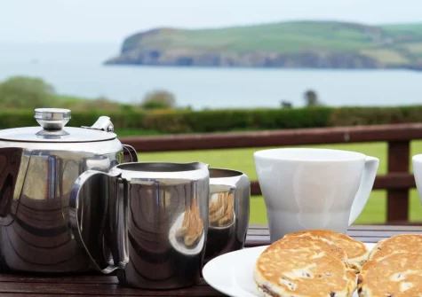 The patio & alfresco dining area at Bwthyn Trefdraeth, Newport