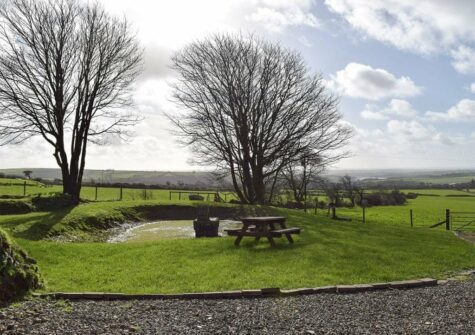 The garden, pond & picnic table at Castle Farm, Tufton