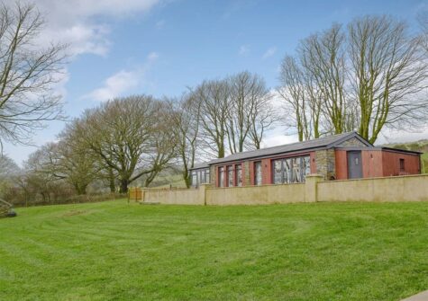 The garden at Castle Farm, Tufton