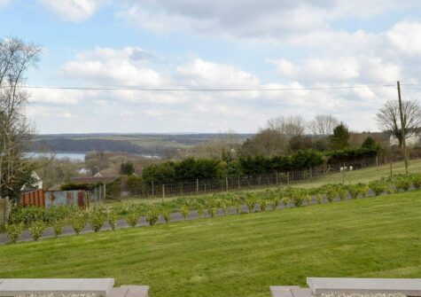 The garden at Cherry Trees, Llangwm