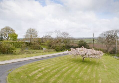 The garden at Cherry Trees, Llangwm