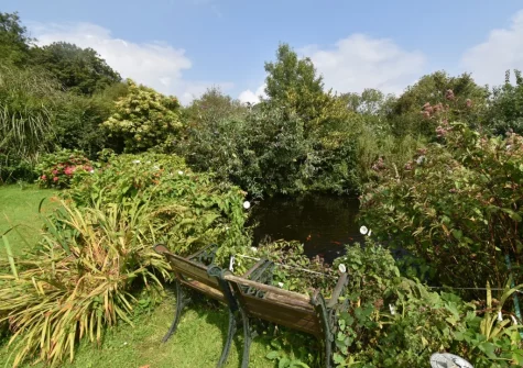 The shared garden with fish pond at Cleggars Castle, Templeton