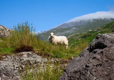 Cwm Glas Bach is a haven for adventurers keen to explore all that Eryri National Park (Snowdonia) has to offer