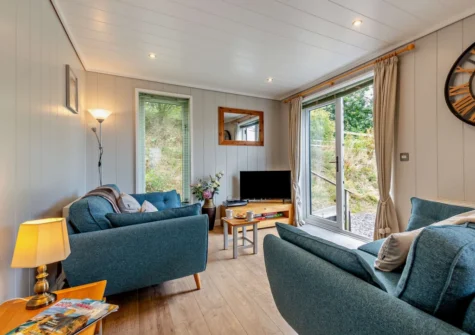 The living area at Dragonfly Lodge, Tyn-y-Groes