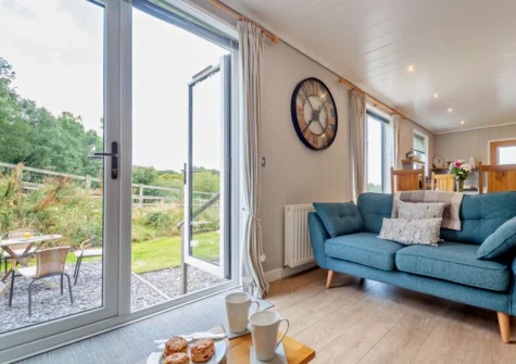 The living area at Dragonfly Lodge, Tyn-y-Groes