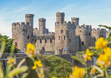 Dagonfly Lodge is nestled in Tyn-y-Groes near Conwy, a World Heritage Site with a 13th century castle and a whole lot more