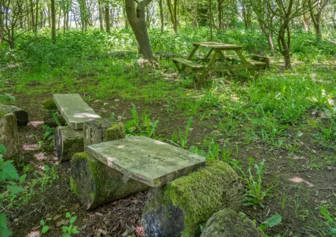 You're also free to explore the acres of meadows & woodland that surround this cluster of holiday homes