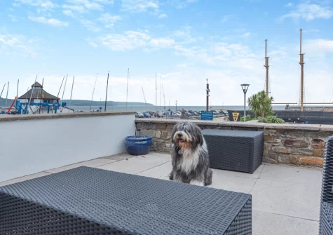 The patio & outdoor sitting area at Landfall, Saundersfoot