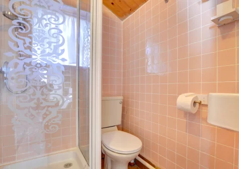 The shower room at Old Gardeners Lodge, Saundersfoot