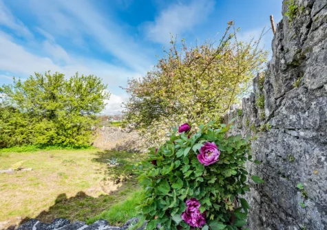 The garden at Palace Park, Manorbier