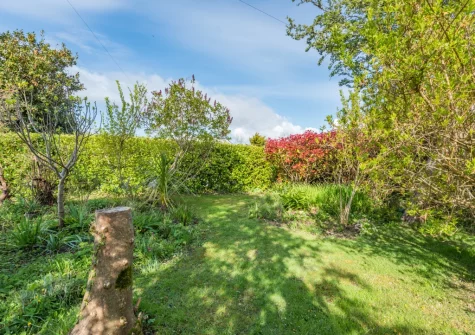 The garden at Palace Park, Manorbier