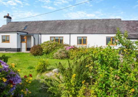 The landscaped cottage garden at Pen Goppa, Bryncroes