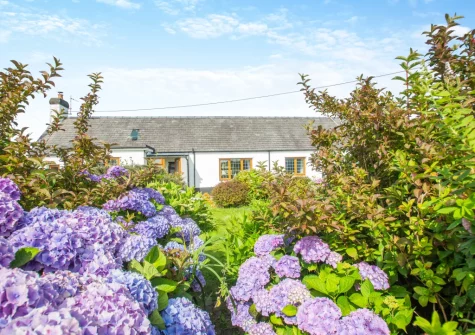 The landscaped cottage garden at Pen Goppa, Bryncroes