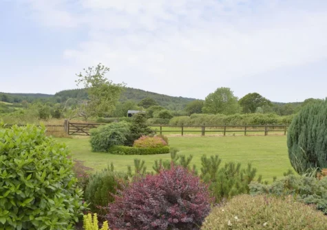 The lawned garden at Piglets Cottage, Canaston Bridge
