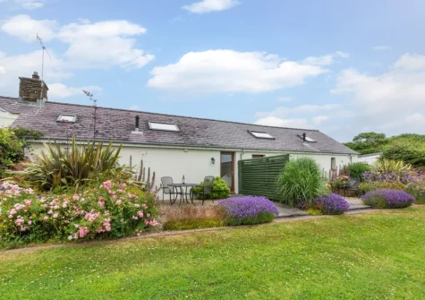 The patio, outdoor sitting area & shared lawned garden at Primrose Cottage, Haverfordwest