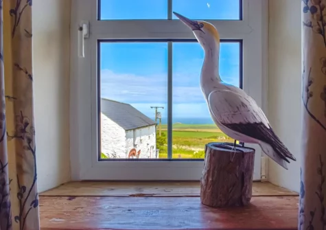 The view from bedroom #1 at Puffin Cottage, Abereiddy