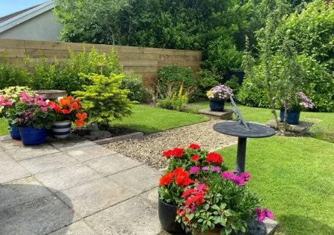 The beautifully manicured garden at Sandy Paws, Kilgetty