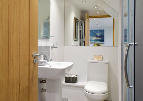 The shower room at Snowdrop Cottage, Penfeidr Cottages, Glanrhyd
