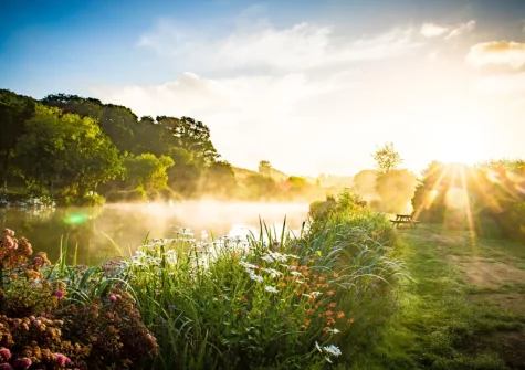 Enjoy the tranquility & morning views across the lake when you stay at Still Water, Llawhaden