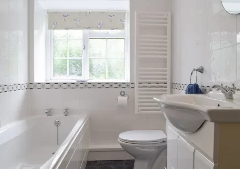 The bathroom at Stoneyford Cottage, Narberth