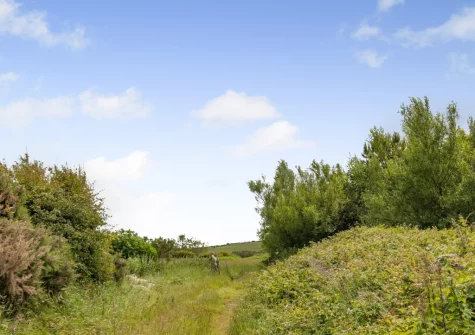 Sunset Cottage is surrounded by acres of meadows & woodland to explore on foot