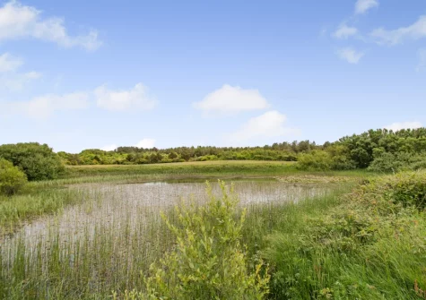 Sunset Cottage is surrounded by acres of meadows & woodland to explore on foot