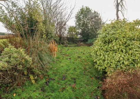 The garden at The Briars, Wisemans Bridge