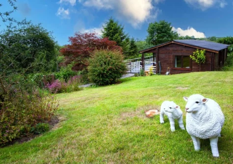 Outside The Lodge At Sheepswalk Farm, Amroth