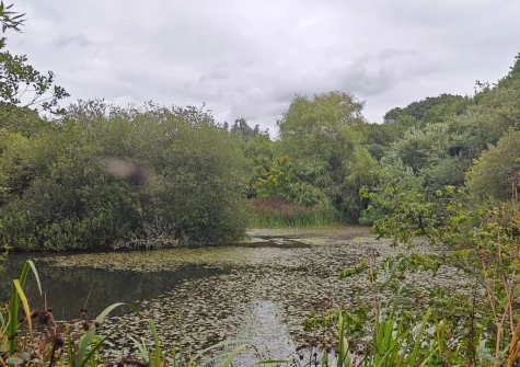 The Old School House has four acres of natural garden with woodland trails, a stream, a pond and a meadow