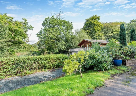 The Sycamores is a dog-friendly lodge with plenty of walks straight from the doorstep