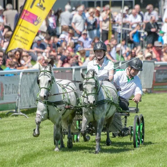 Top 10 things to do in Wales in July - Experience The Royal Welsh Show