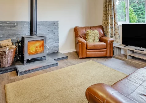 Tree Tops, St Florence is a beautifully presented single-storey cottage in peaceful Pembrokeshire countryside, featuring a private hot tub, log-burning stove, access to a heated indoor pool, and welcoming two dogs to explore the endless walks.