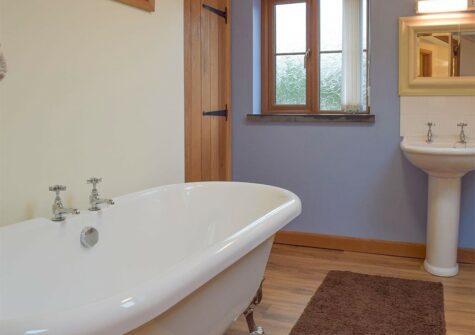 The bathroom at Ty Hapus, Dwrbach