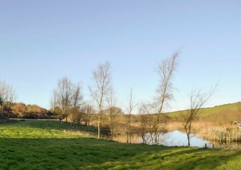 Five acres of natural grounds surround Ty Hapus, Dwrbach