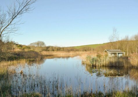 Five acres of natural grounds & a lake surround Ty Hapus, Dwrbach