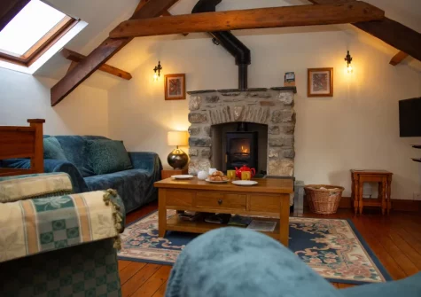 The living room at Ty Moch Bach, Castlemorris