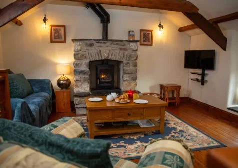 The living room at Ty Moch Bach, Castlemorris