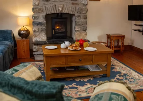 Ty Moch Bach, Castlemorris is a beautifully converted 18th-century barn sleeping four in the Pembrokeshire countryside, featuring exposed beams, vaulted ceilings, a cosy wood burner, and a sunny south-facing garden close to coastal walks.