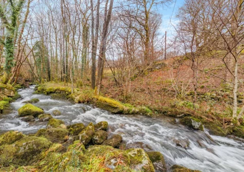 The large multi-level garden has direct access to the river