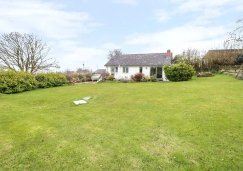 The garden at Woodgreen Cottage, Templeton