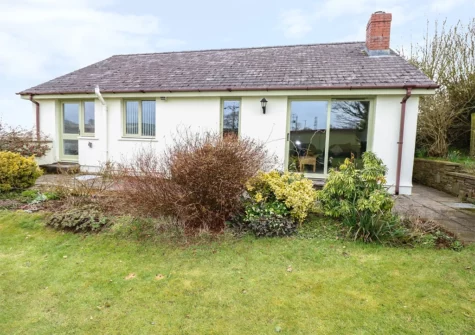 The garden at Woodgreen Cottage, Templeton